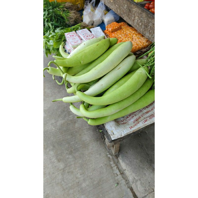 

Buah labu air panjang