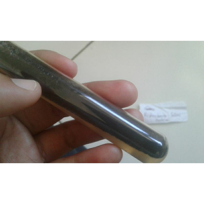 Biakan Cair Aspergillus niger