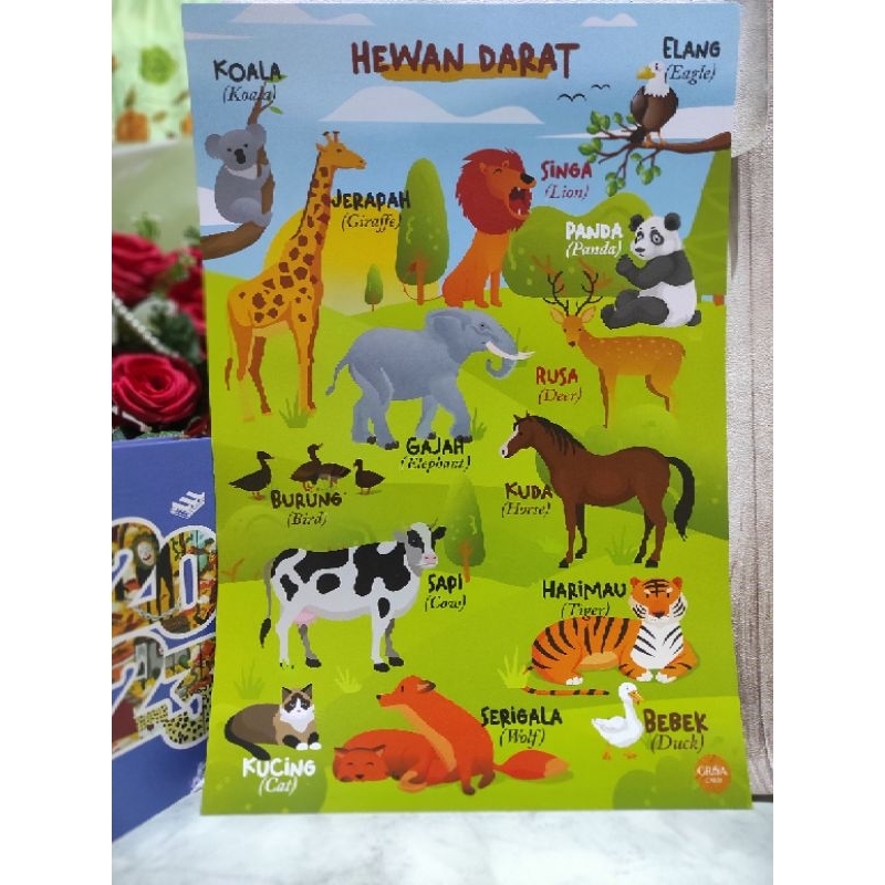 

Poster Edukasi Hewan Darat AlRasyid Ollshoop Samarinda