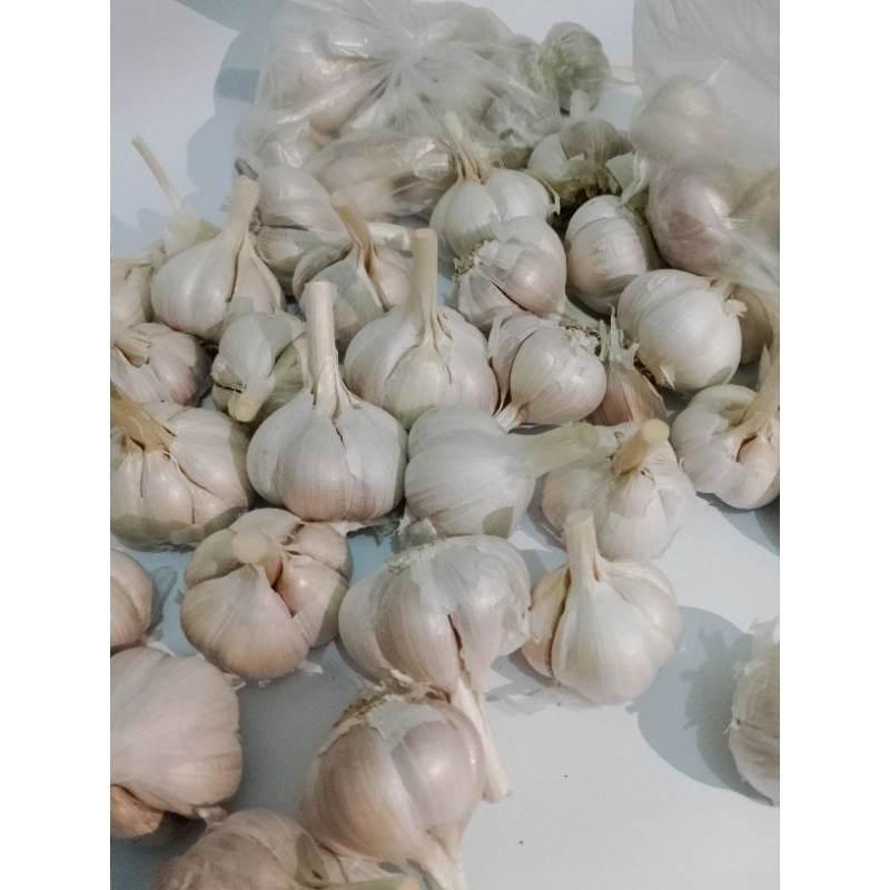 

BAWANG PUTIH 1kg/BAWANG PUTIH SINCO