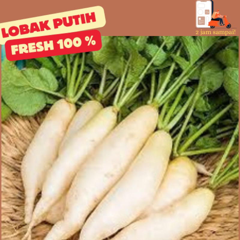 

Lobak Putih Fresh Sayuran 1 kg KIRIM INSTAN BANDUNG