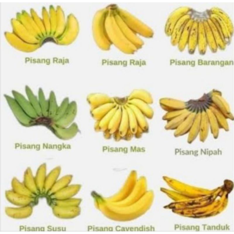 

Buah Pisang & lainnya