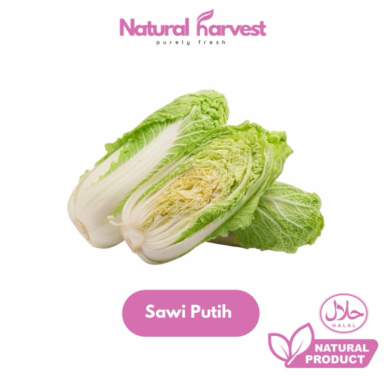 

Sawi Putih Super Fresh 1kg | NaturalHarvest!