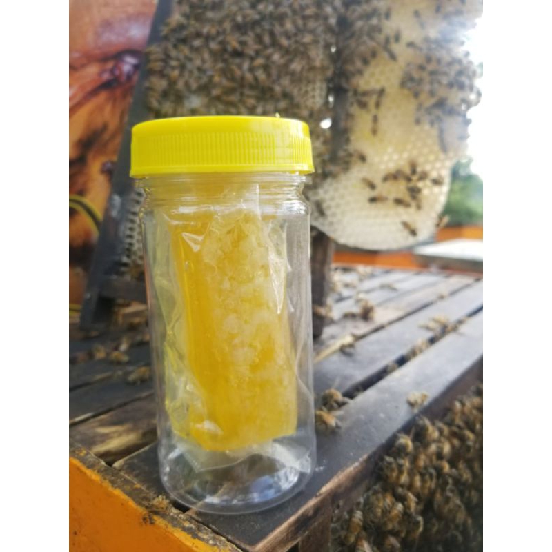 

madu asli 100% alami pure honeycomb