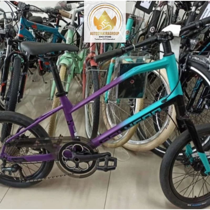 Sepeda Polygon Mini Velo Zeta 2 New Ready