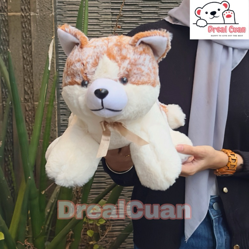 boneka karakter hewan binatang animals cat kucing anggora persia tidur