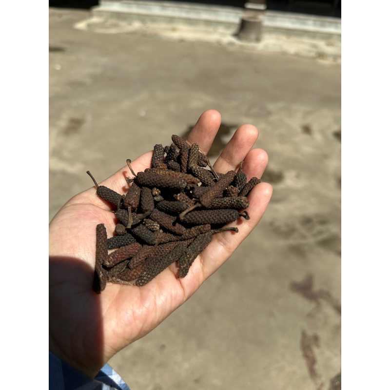 

cabe jamu super cabe puyang