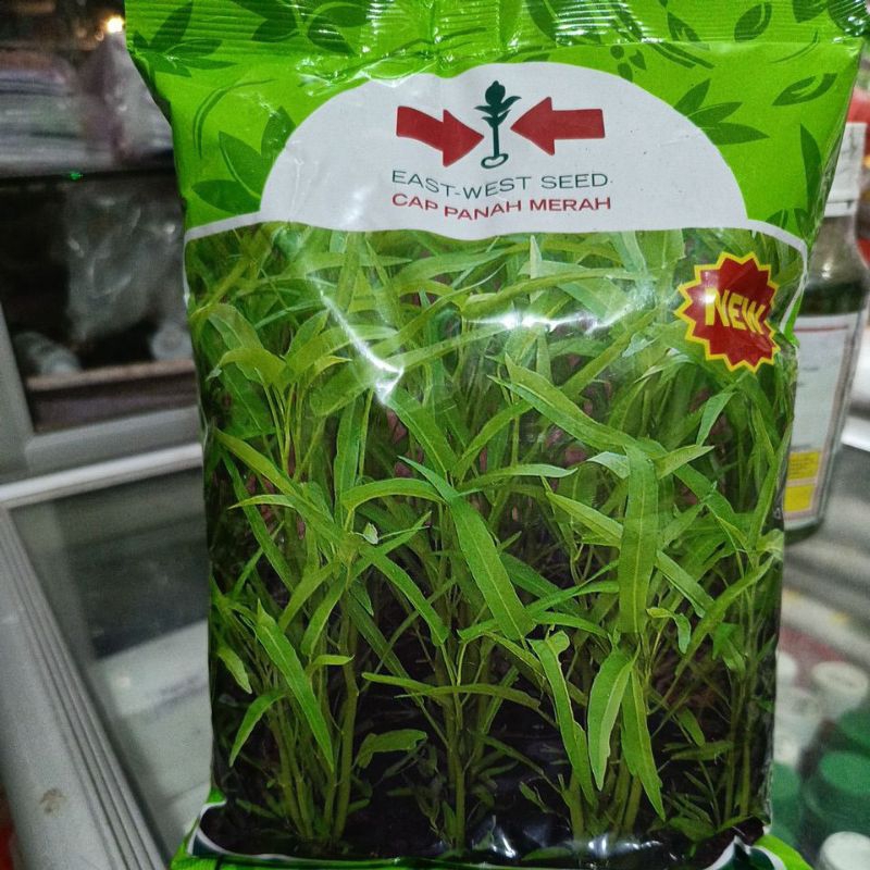 Benih KANGKUNG SERIMPI