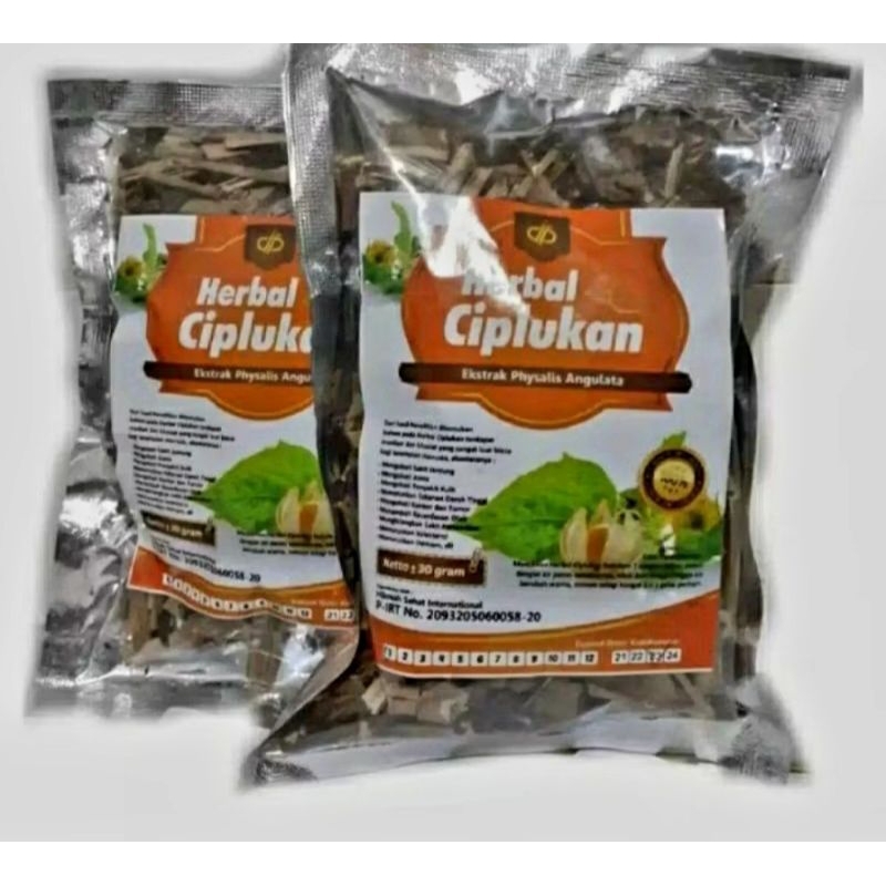 

TEH DAUN DAN BATANG CIMPLUKAN