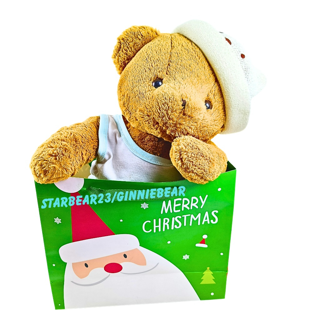 

paperbag natal green santa clause
