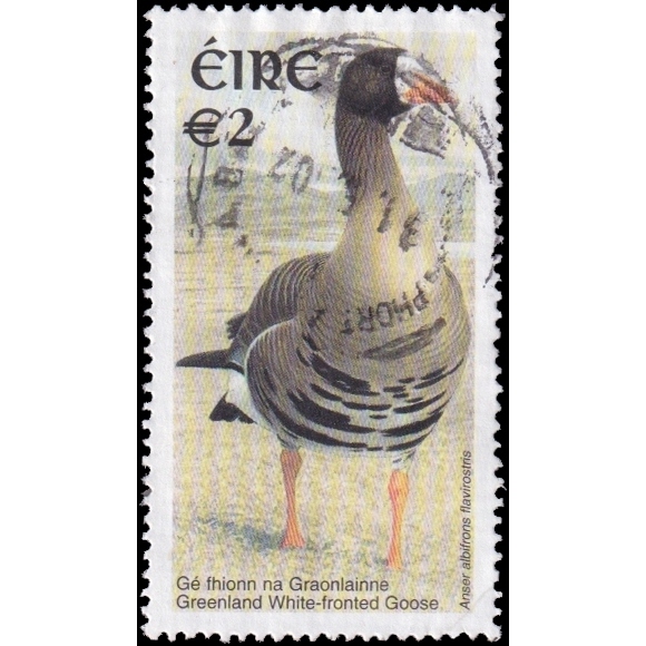 

Prangko Ireland 2002 Birds Scott #1367 Used Fine