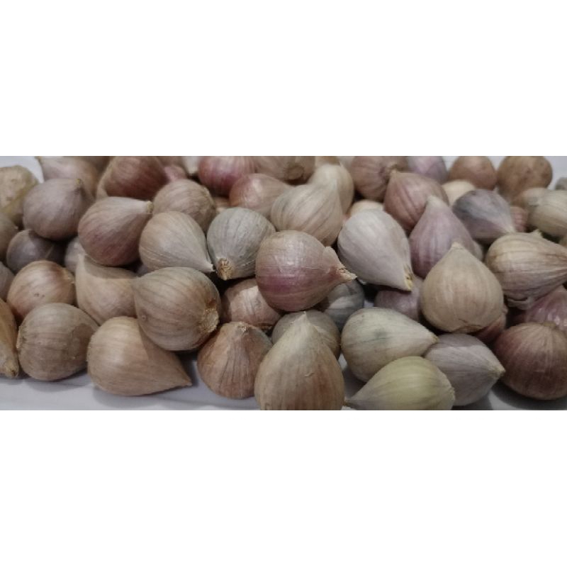 

Bawang lanang (tunggal) 500 gr