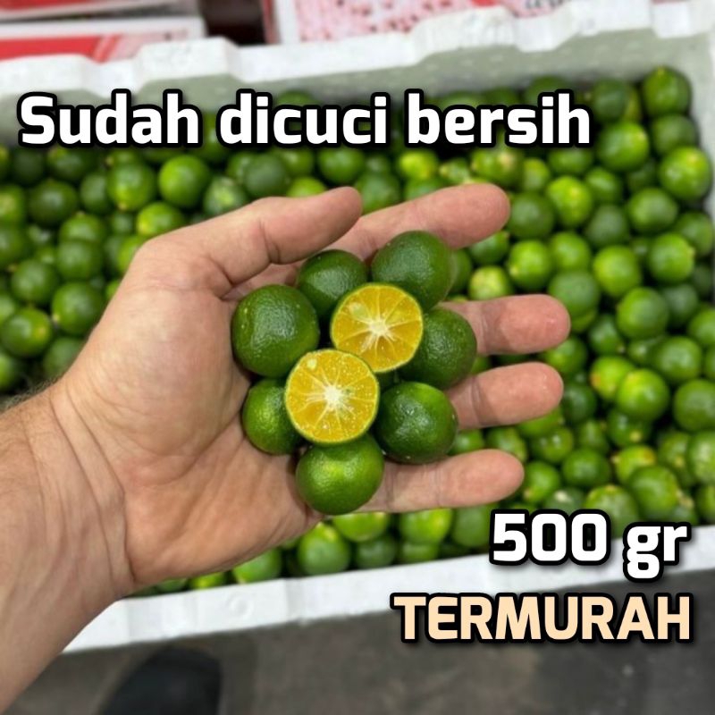 

500gr Jeruk kunci Jeruk kasturi Jeruk sonkit Jerul kalamansi Lemon cui Jeruk peras Buah jeruk peras