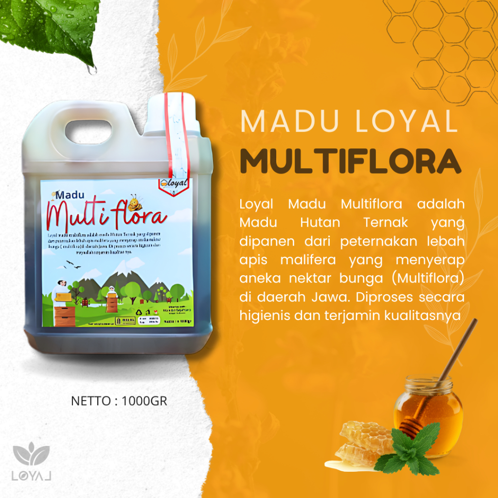 

Loyal Madu Multiflora - Madu Hutan Asli 1kg