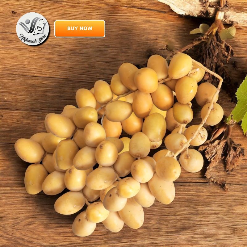 

READY STOK SIAP KIRIM! Kurma Muda Promil 500 gr Kurma Muda Barhi Manis