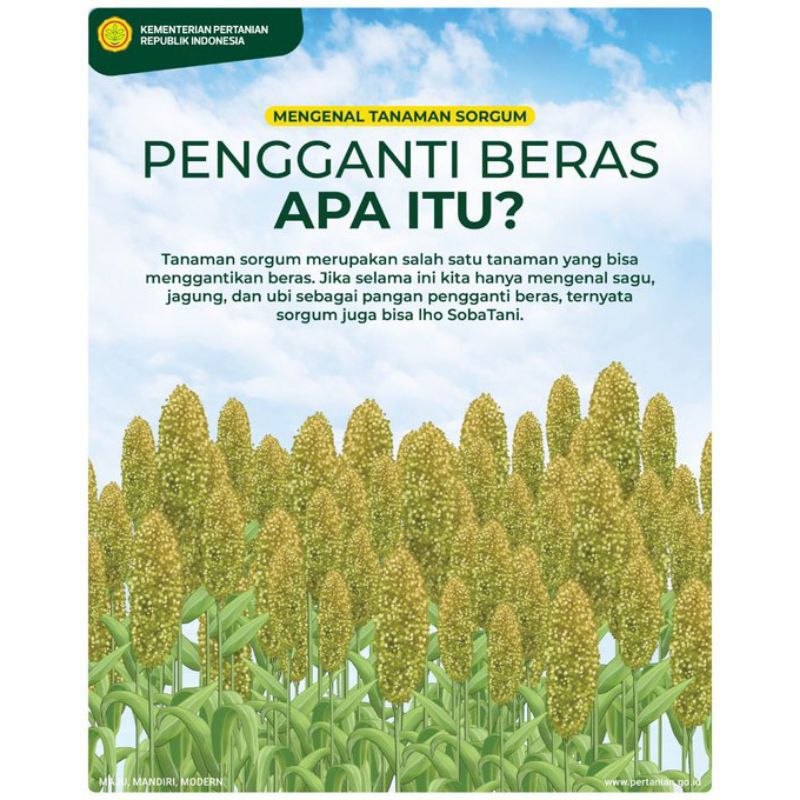 BERAS SORGUM 1 KG