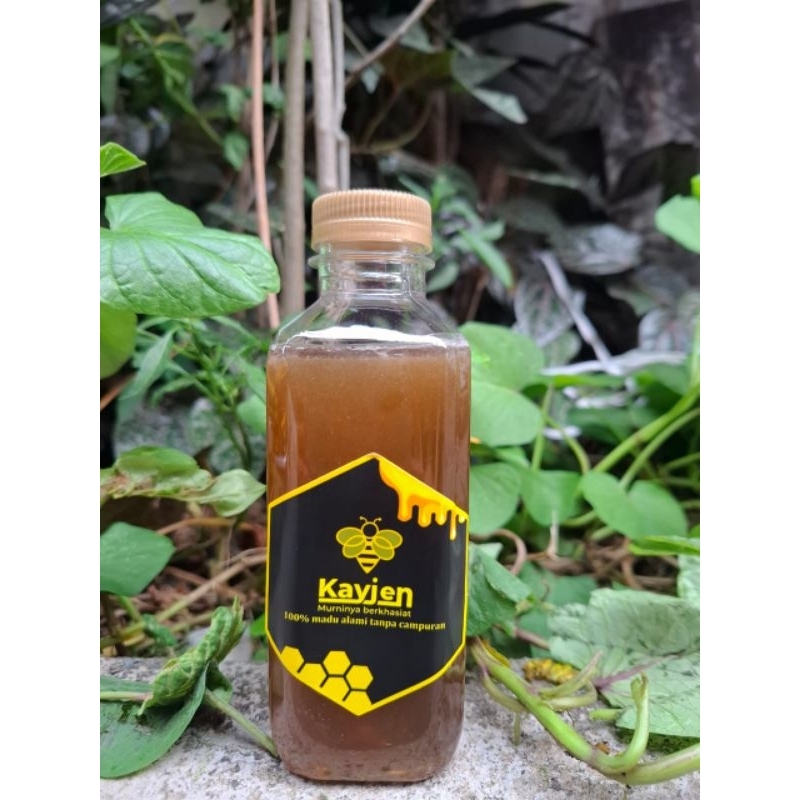 

Madu murni alami madu karet