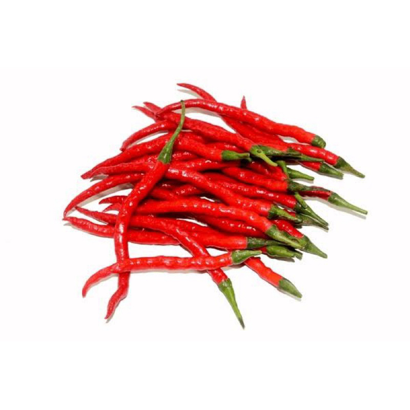 

cabe merah keriting