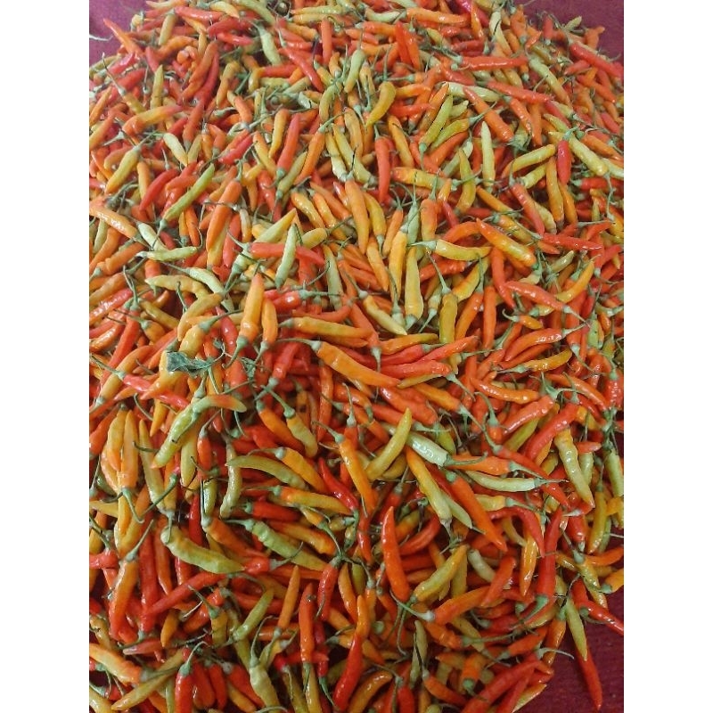 

CABE RAWIT || CABE RAWIT MERAH || LOMBOK RAWIT || 500 Gram