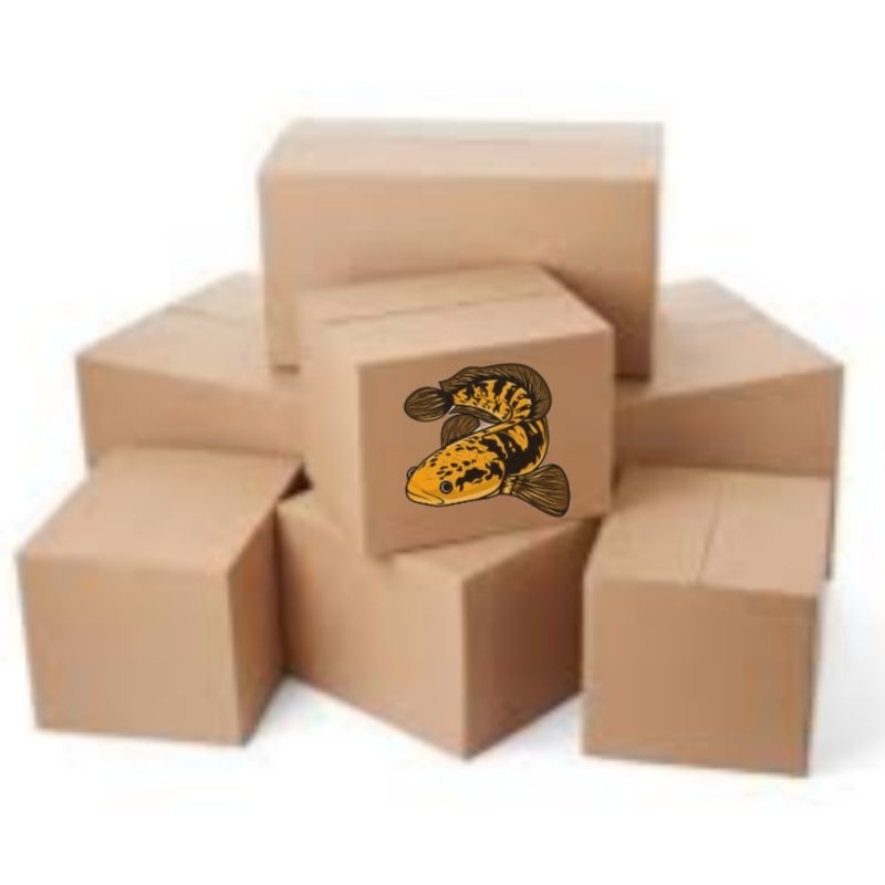 

BOX ISI CHANNA YS BATIK 8-10cm ECER