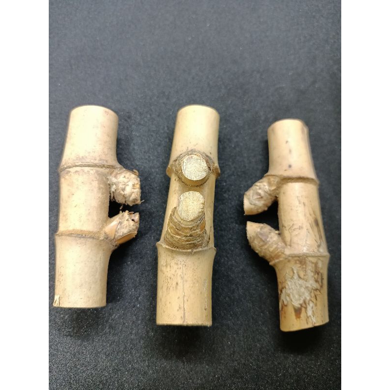 Bambu Petuk
