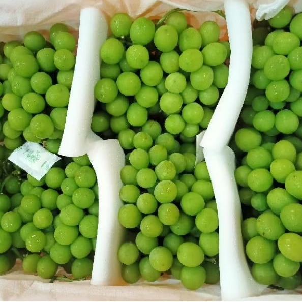 Anggur Hijau Shine Muscat Curah Manis