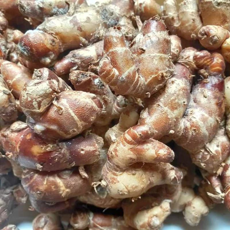 

KENCUR SEGAR 1 KG