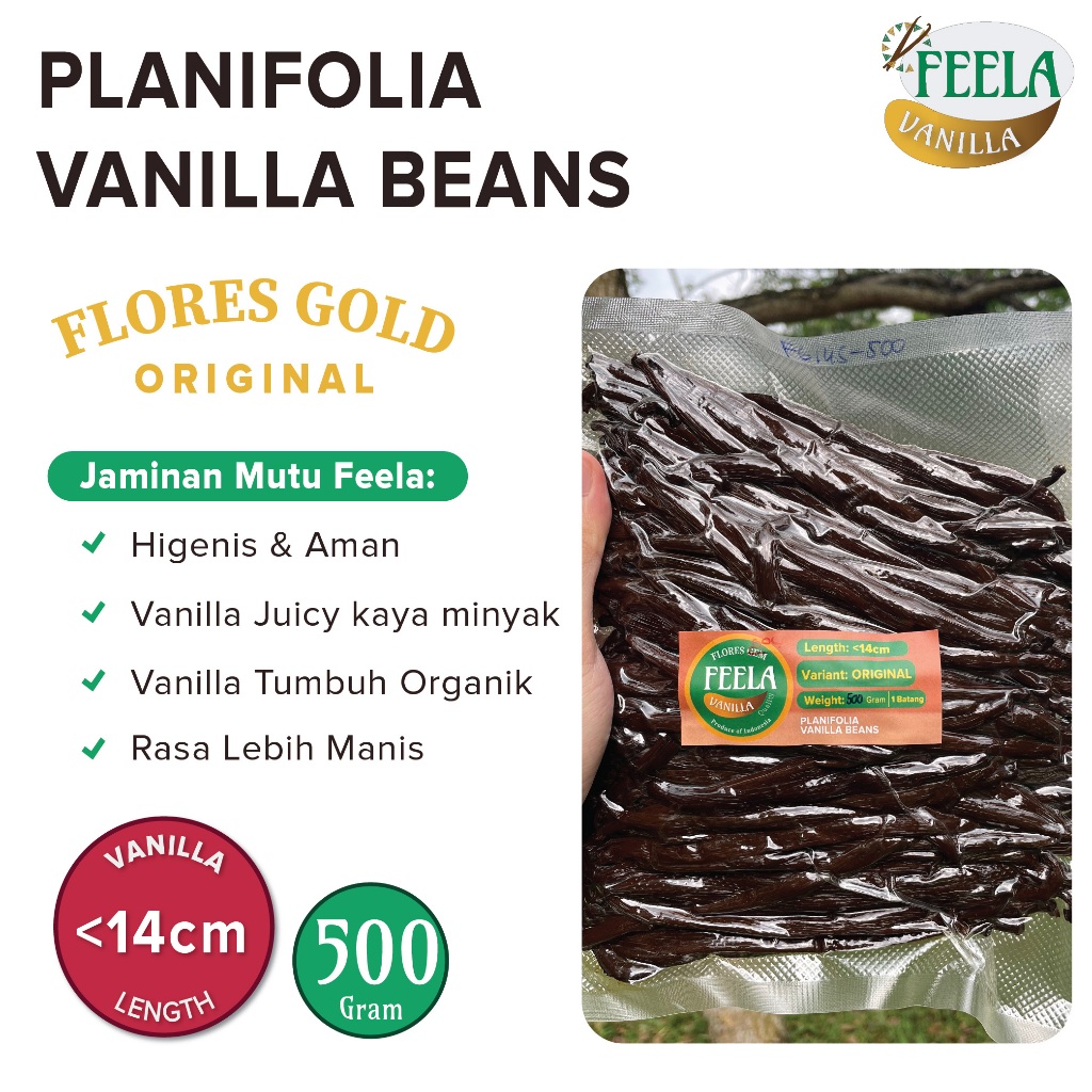 

Vanilla Beans Planifolia / Vanilla Kering Gourmet & Grade A FloresGold