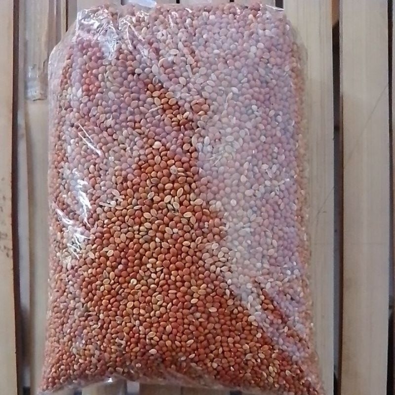 

Biji jemawut 250 gr