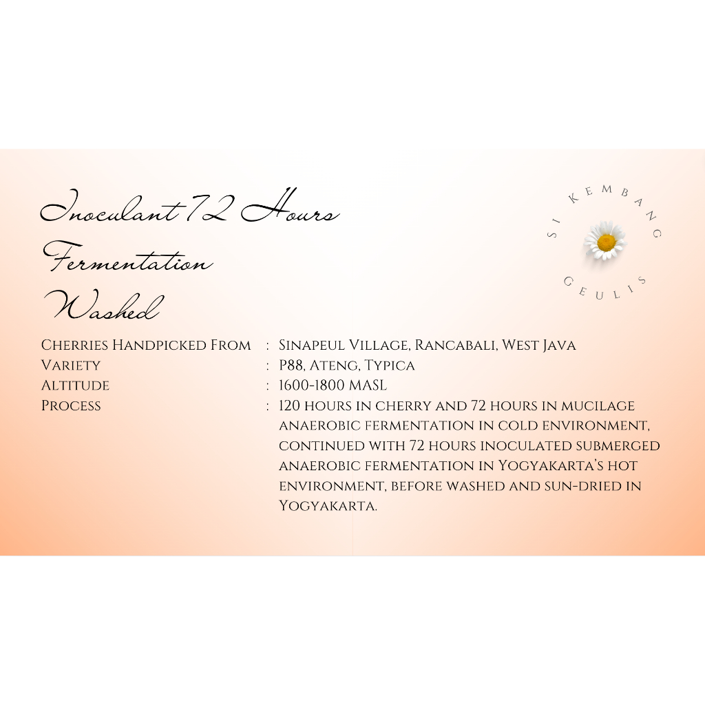 

Green Bean Arabika Sinapeul Inoculant 72 Hours Fermentation Washed - Biji Kopi Mentah