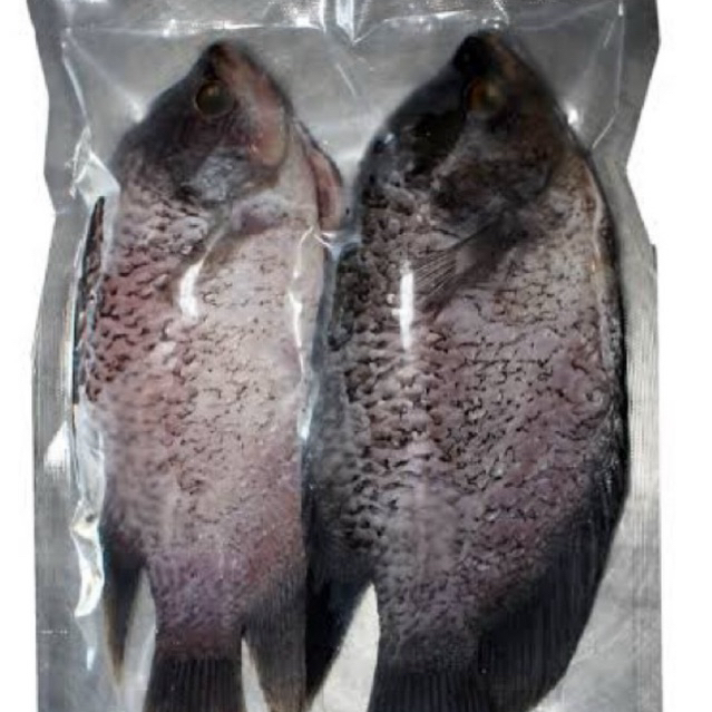 

Ikan gurame bersih utuhan kurang lebih 1 kilo isi 2 atau 3 ekor