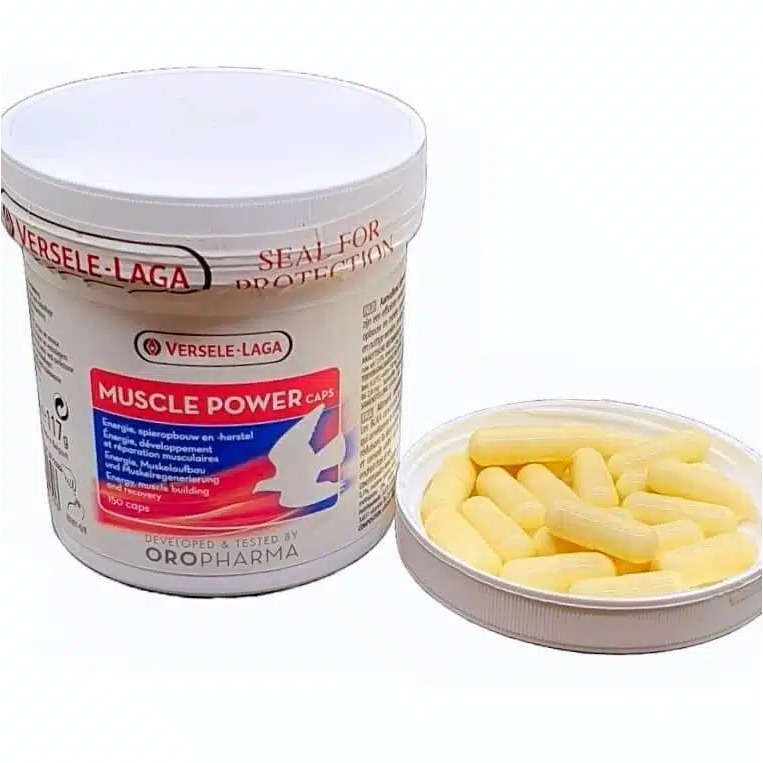 MUSCLE POWER VERSELE LAGA VITAMIN SAYAP TULANG KUAT BURUNG MERPATI PIL IMPORT BELGIUM