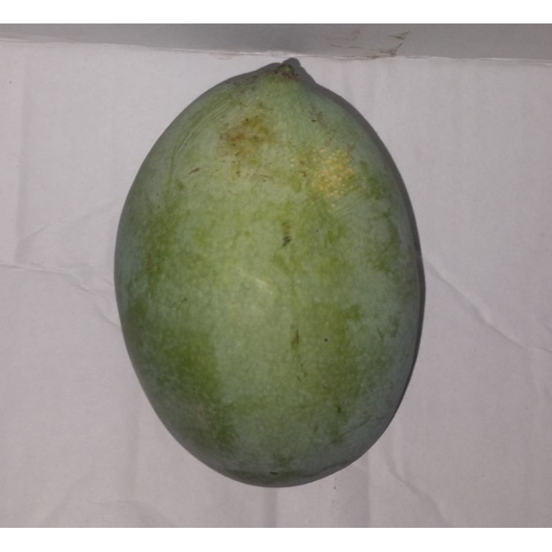 

Flashout Mangga Madu Habisin Stok
