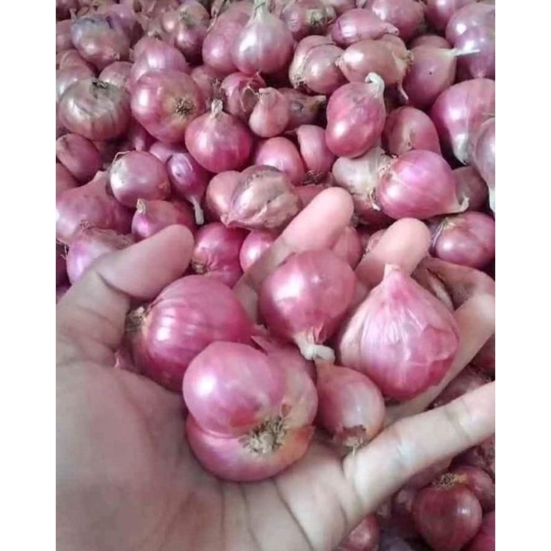 

BAWANG MERAH KERING 1 KG