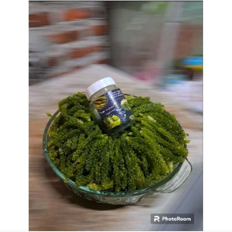 

Anggur laut/Green caviar dihydrated 50 gram