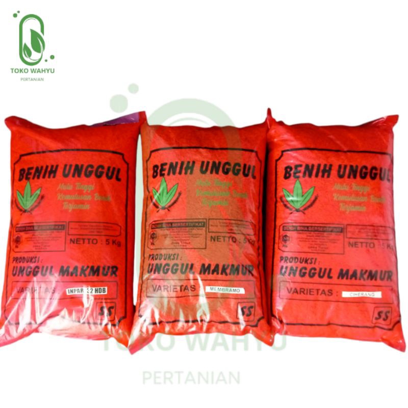 BENIH PADI UNGGUL MAKMUR 5KG //CIHERANG//MEMBRAMO//INPARI 32