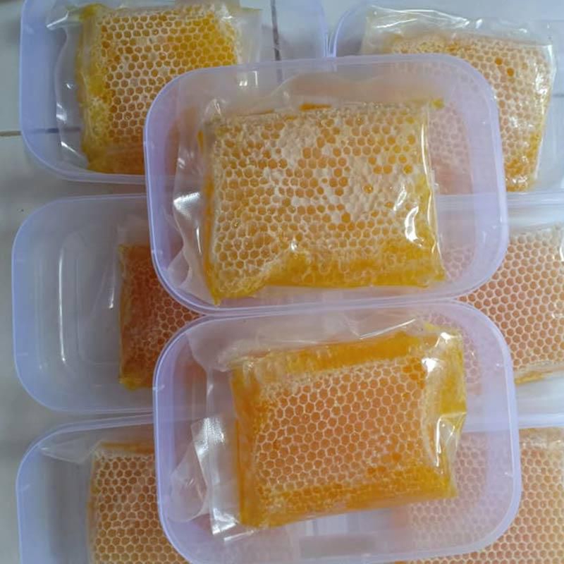 

Madu Murni 20 gram Premium Honey madu asli peternakan
