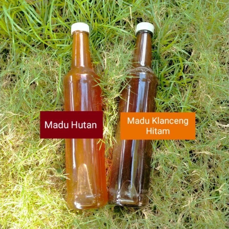 

MADU KLANCENG HITAM DAN MADU HUTAN ASLI | 460ML