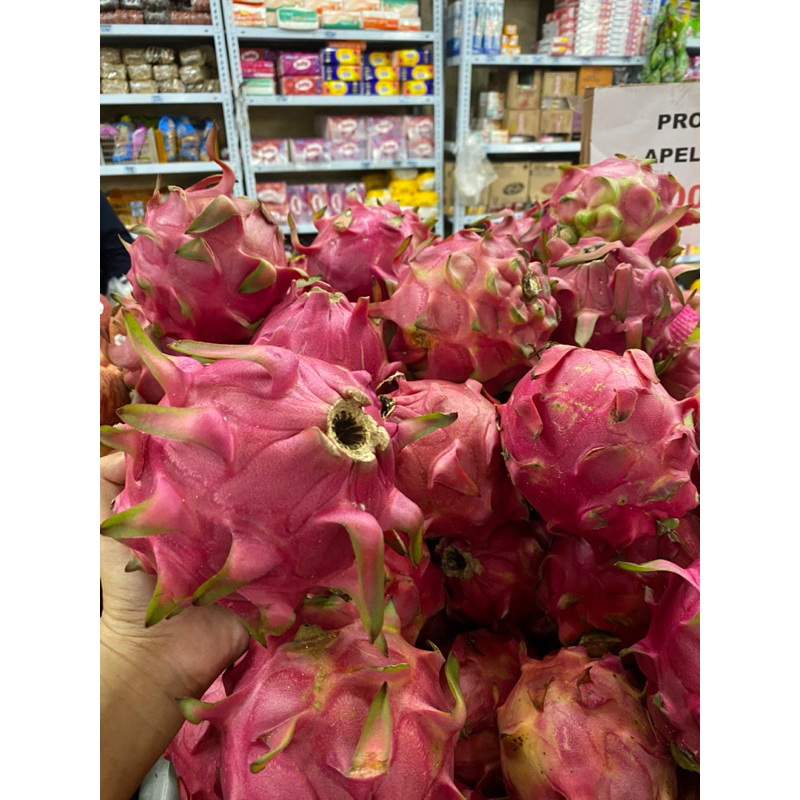 

Buah naga 1kg