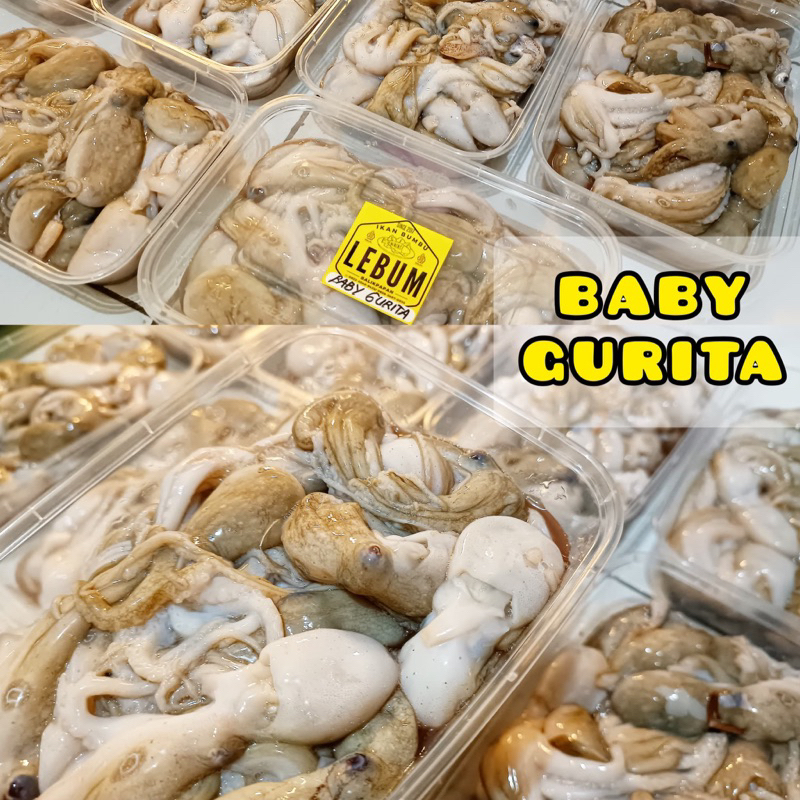 

(Ready Balikpapan) Baby Octopus / Baby Gurita bersih siap olah fresh frozen