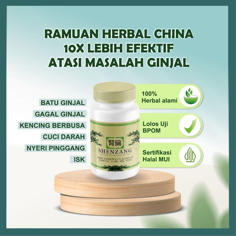 Shenzang Obat Herbal Ginjal 60 Kapsul BPOM Original Atasi Batu Ginjal & ISK