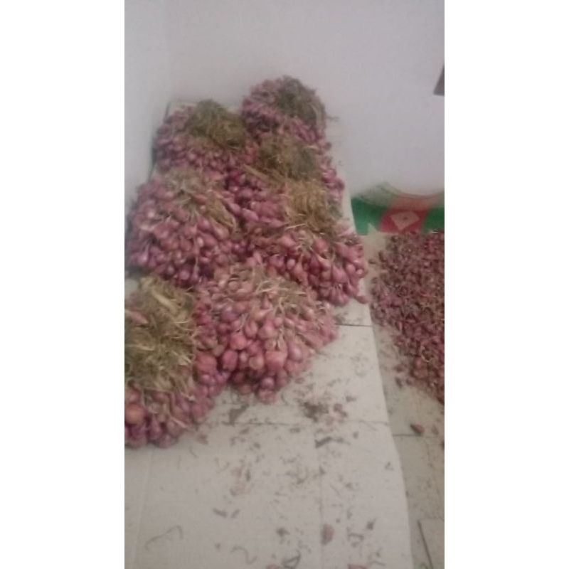 

Bawang merah brebes