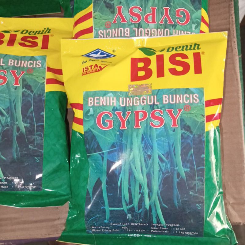 Benih buncis GYPSY (buncis tegak) kemasan 500gr