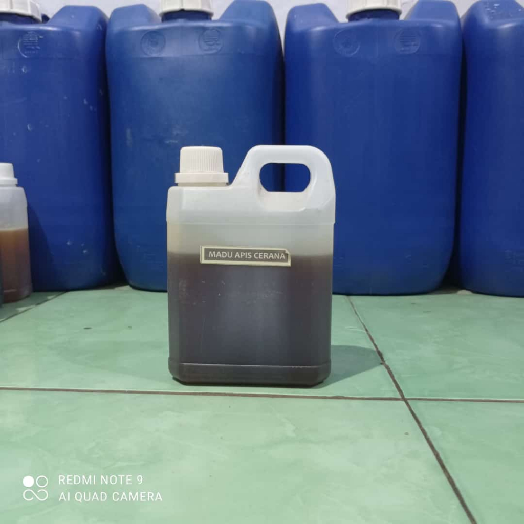 

Madu Asli 100% Madu Murni Lebah Apis Cerana