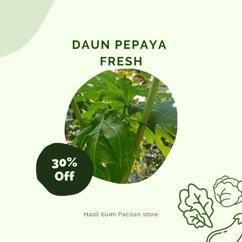 

daun pepaya segar 250 gr