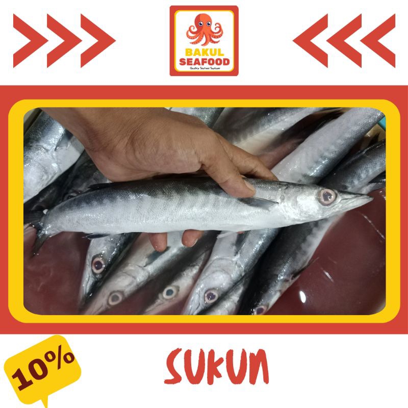 

SUKUN/BARAKUDA 500GR-1000GR