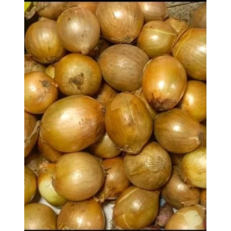 

bawang bombay