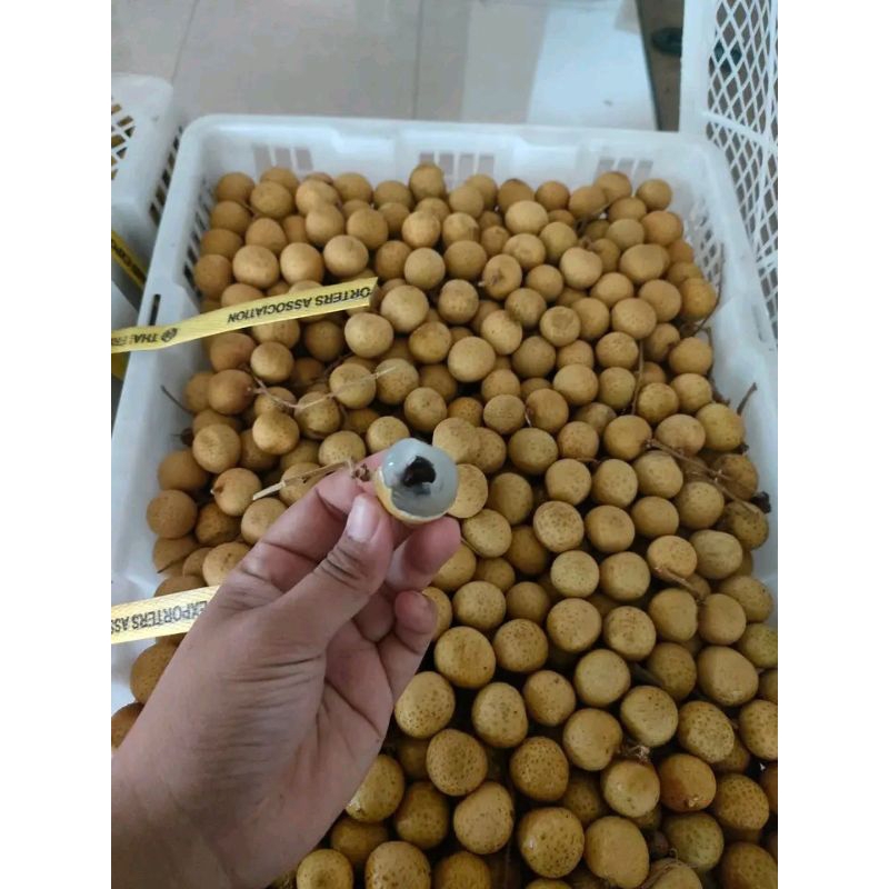 

Buah Kelengkeng impor manis