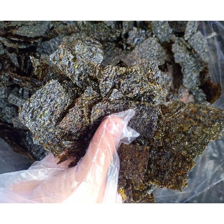 

Selalu Baru REMAHAN RUMPUT LAUT NORI 2 ML 3438GR