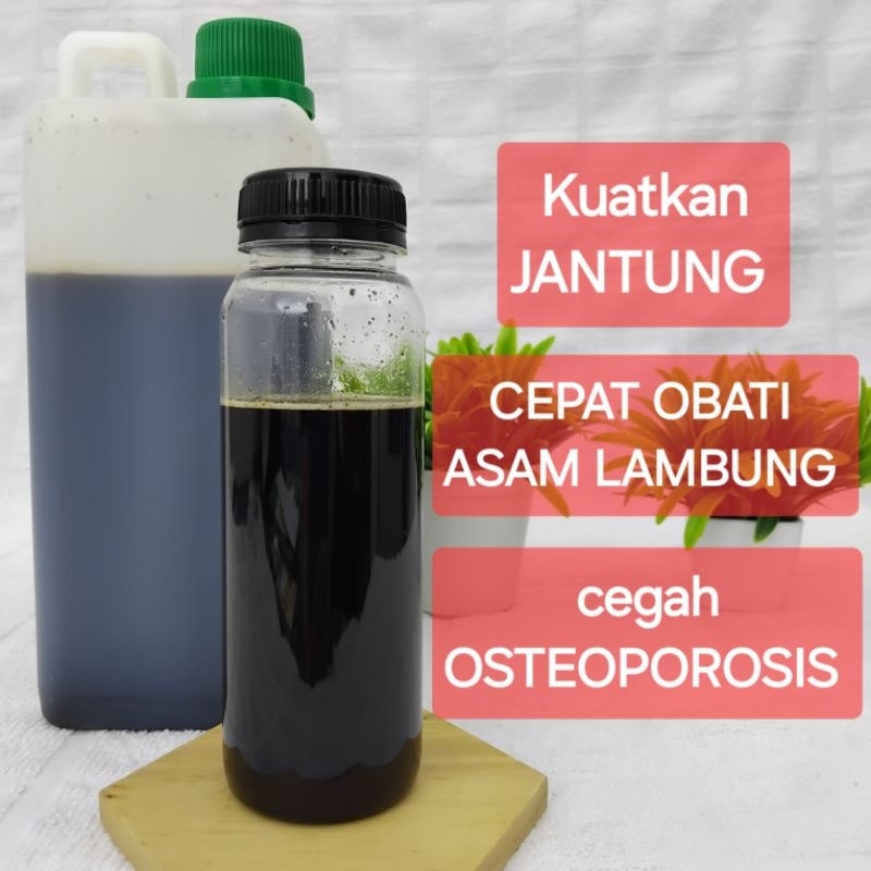 

ASOHA Madu Hutan Liar Jawa Timur 1kg | POLOS | NO TIPU-TIPU | FULL NEKTAR